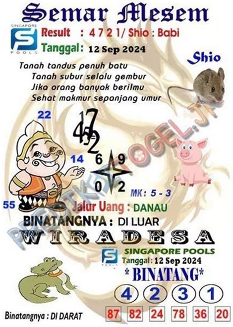 SYAIR SGP VIP